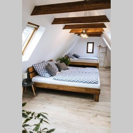 The Cozy Studio Apartment Lauf Lauf an der Pegnitz Esterno foto