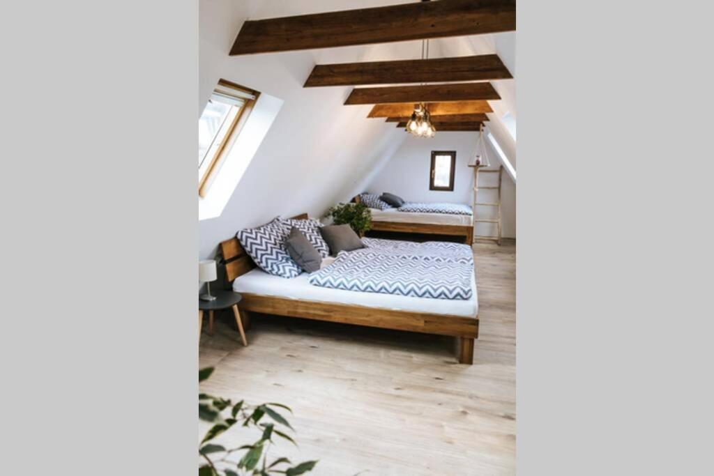 The Cozy Studio Apartment Lauf Lauf an der Pegnitz Esterno foto