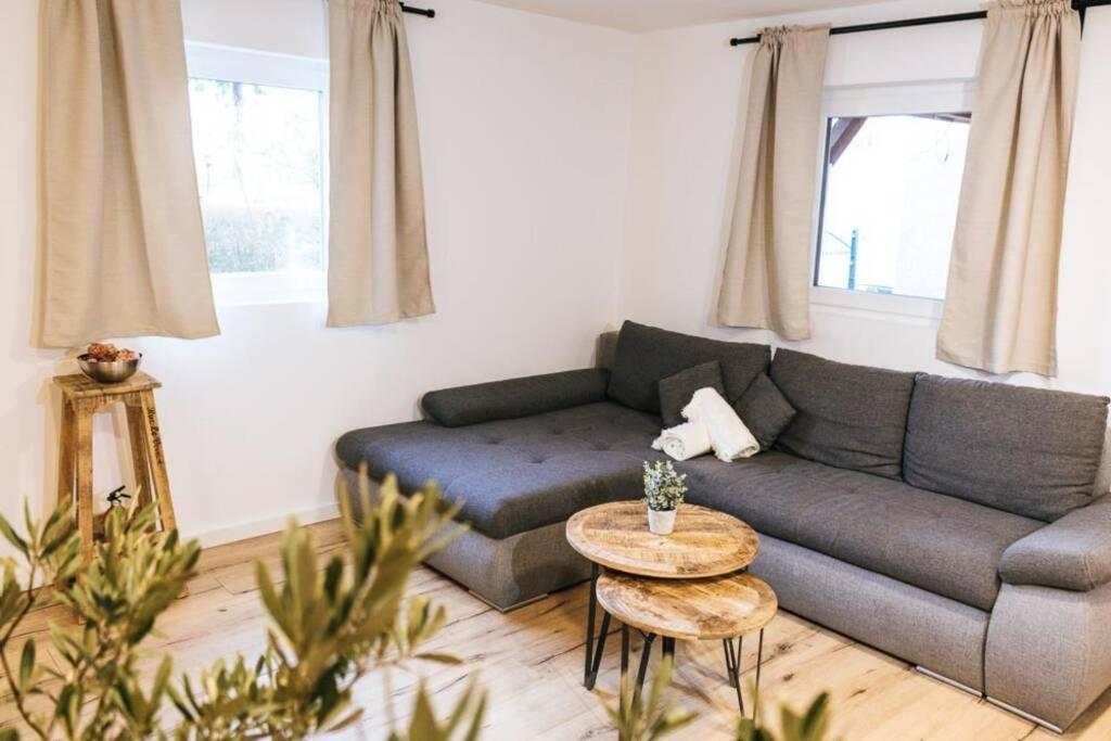 The Cozy Studio Apartment Lauf Lauf an der Pegnitz Esterno foto